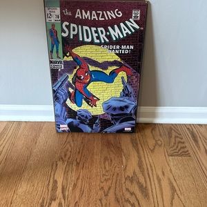 The Amazing Spider-Man Art